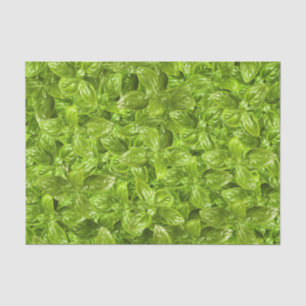 Basil-Blätter-Muster Seidenpapier