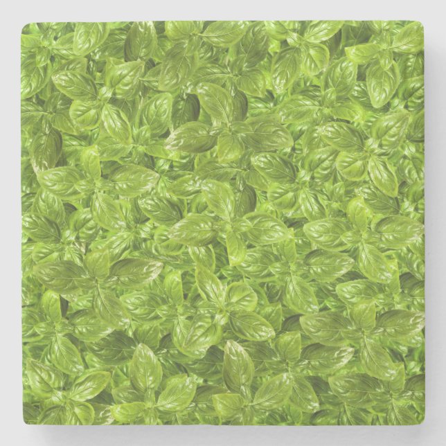 Basil-Blätter-Muster Steinuntersetzer (Vorderseite)