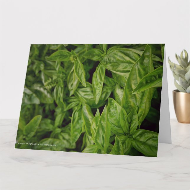 Basil Fine Art Karte (Kleine Pflanze)