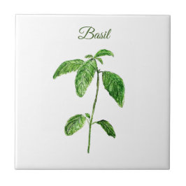 Basil Herb Grüne Küche Kulinarisches Grün Rustikal Fliese