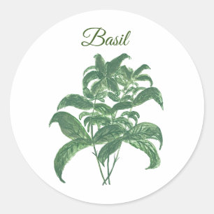 Basil Herbs Grüne Küche Grüne Pflanze Runder Aufkleber