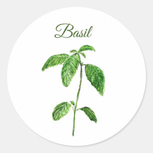 Basil Kräuter Aquarell Küche Grün Rustikal Runder Aufkleber