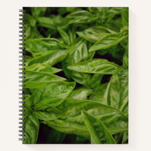 Basil-Notizbuch Notizbuch