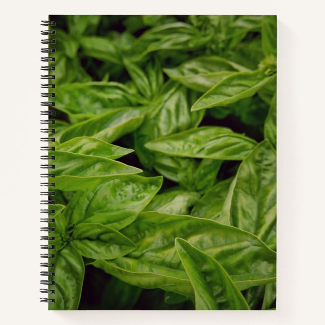 Basil-Notizbuch Notizbuch (Vorderseite)