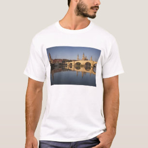 Basilika Nuestra Señora del Pilar T-Shirt