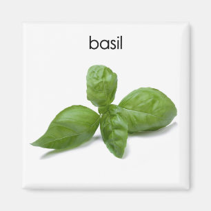 Basilikum-Kühlschrank-Magnet Magnet