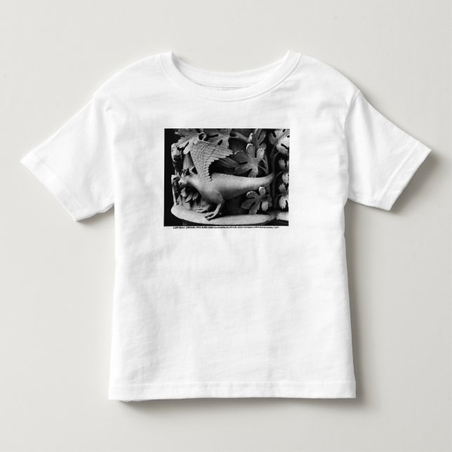 Basilisk Kleinkind T-shirt (Vorderseite)