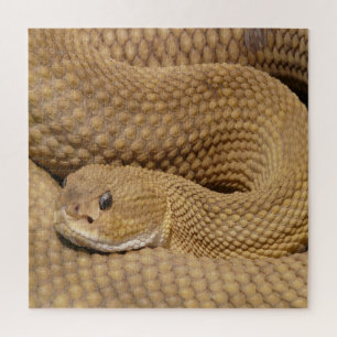 Basilisk Pit Viper Rattlesnake