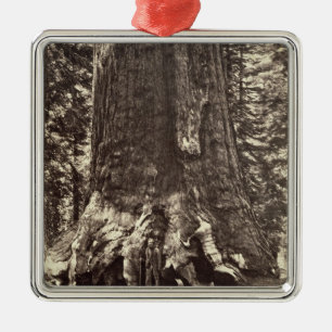 Basis des Graubär-Riesen, 'vom Yosemite-Buch Ornament Aus Metall