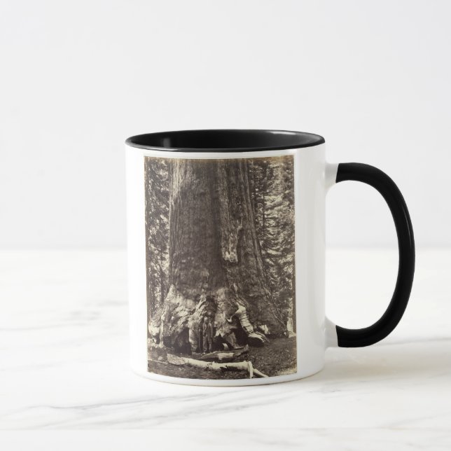 Basis des Graubär-Riesen, 'vom Yosemite-Buch Tasse (Rechts)
