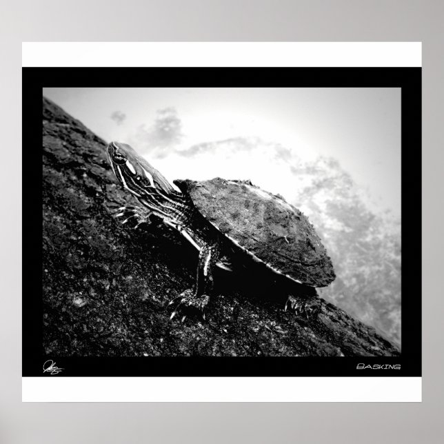 Baskenland Poster (Vorne)