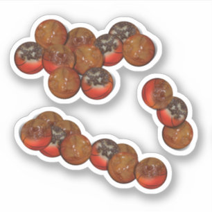 Basketball Doughnut Holes Aufkleber