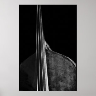 Bass 5 wapcn poster