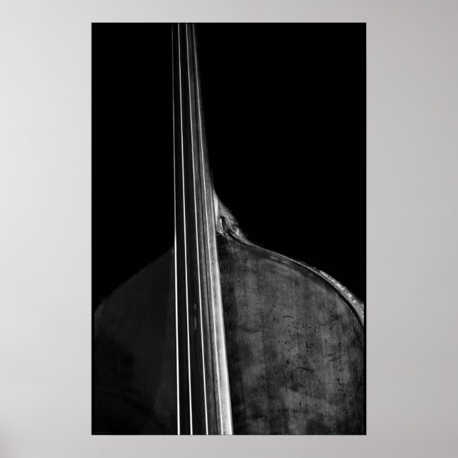 Bass 5 wapcna poster (Vorne)