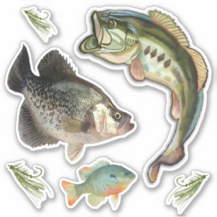 Bass Blue Gill Crappie Haken Aufkleber
