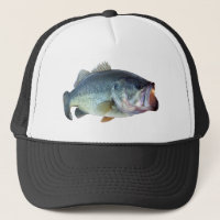 Bass-Fische