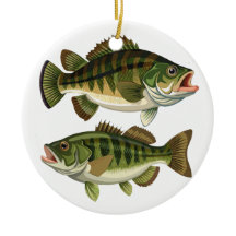 Bass Fischen