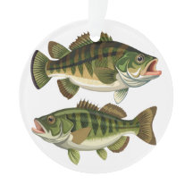 Bass Fischen