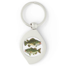 Bass Fischen