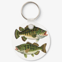 Bass Fischen