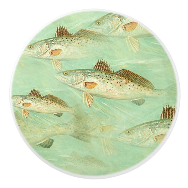Bass Fish Muster Keramikknauf (Vorderseite)