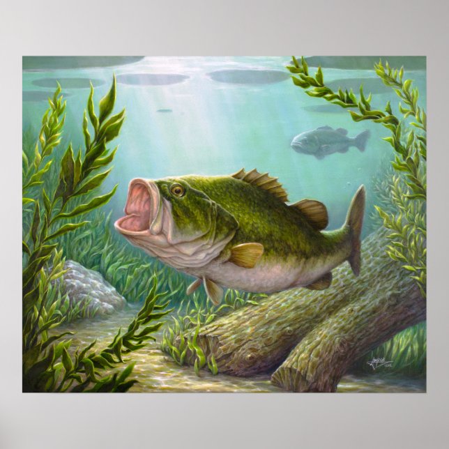 Bass Fish Poster (Vorne)