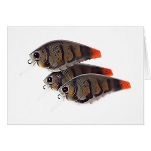 Bass Fishing Crankbait Card