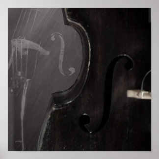 Bass of hole - Druck Poster