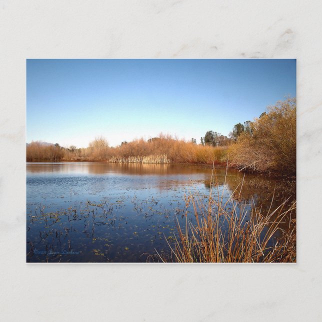 Bass Pond One Postkarte (Vorderseite)
