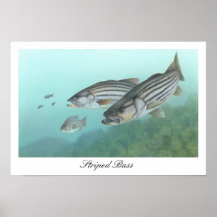 Bass Poster