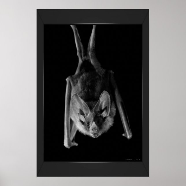 Bassdrucke Poster (Vorne)