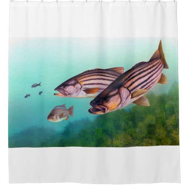 Bassduschvorhang für die Fische Duschvorhang (Vorderseite)