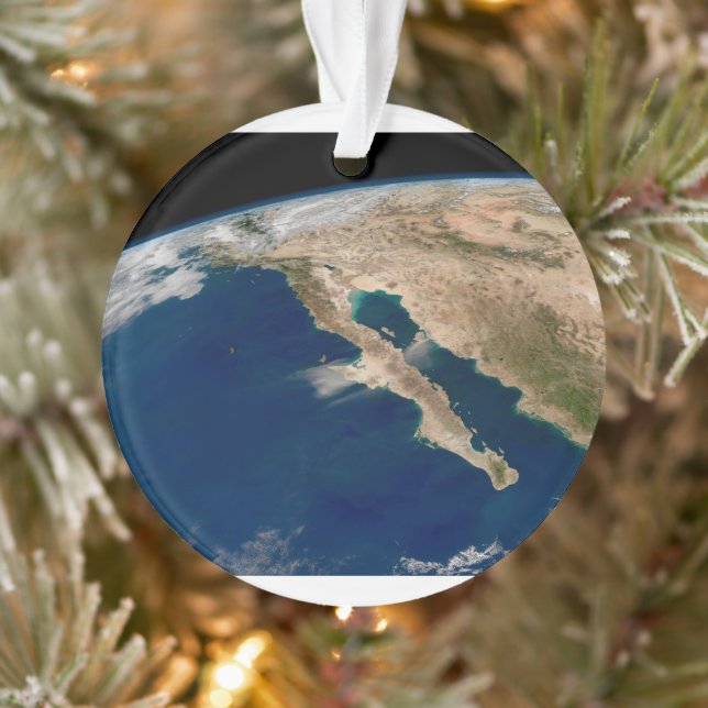 Basse Californie Et Côte Pacifique Du Mexique. (Arbre)