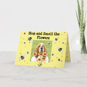 Basset Birthday Card - "Stoppen und Riechen der Bl Karte