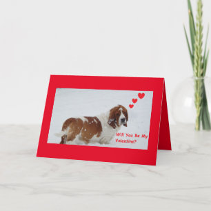 Basset dans la neige sur la carte de Saint Valenti