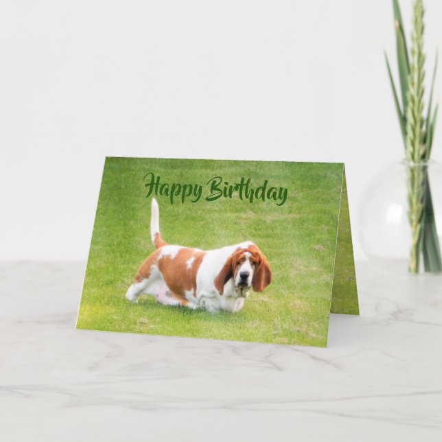 Basset & Déjeuner Sur Une Carte D'Anniversaire Amu (Devant)
