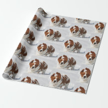 Basset-Haken im Schneeballpapier