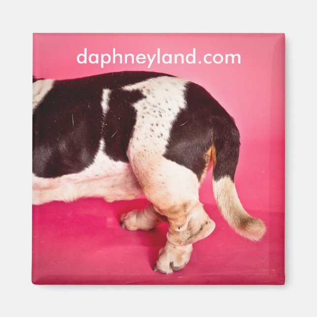 Basset Hintern Magnet (Vorne)