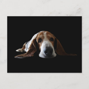 Basset Hop liegen Postkarte