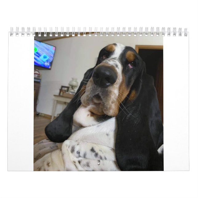 Basset-Hosting-Kalender Kalender (Titelbild)
