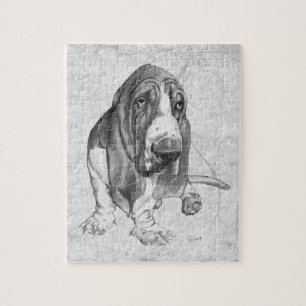 Basset Hound