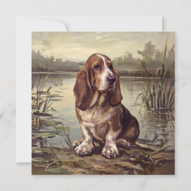 Basset Hound (Vorderseite)