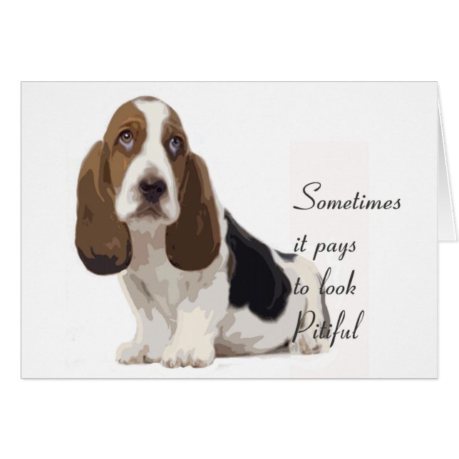 Basset Hound (Vorderseite (Horizontal))