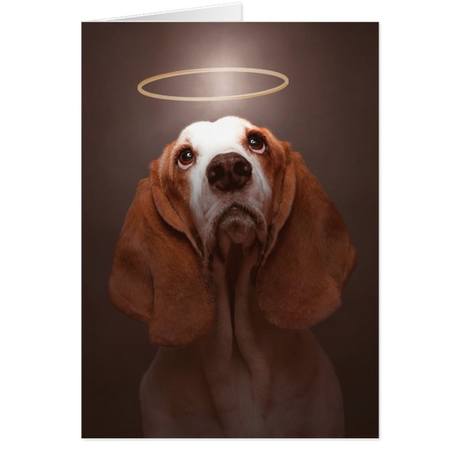 Basset Hound Angel (Vorne)