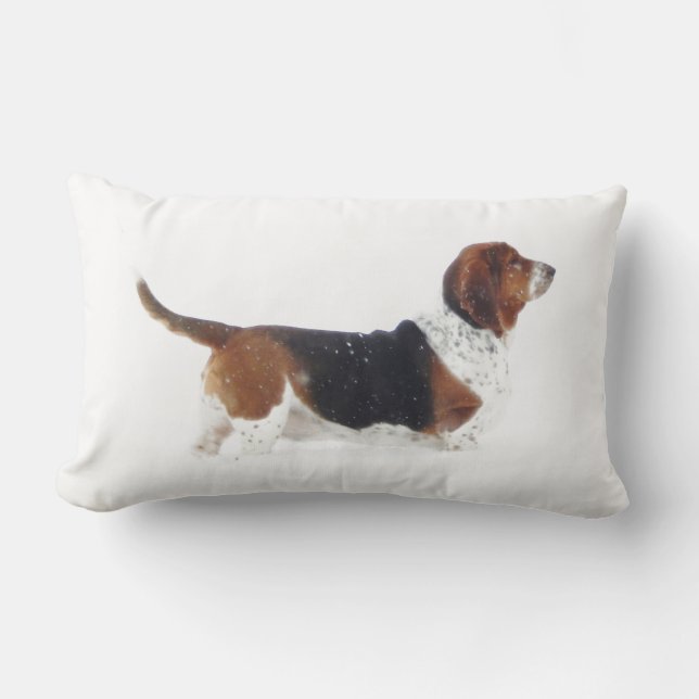 Basset Hound auf lumbalem Kissen (Vorderseite)