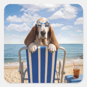 Basset Hound auf Strandstuhl Quadratischer Aufkleber