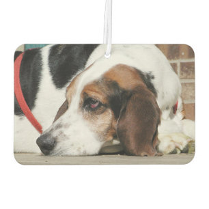 Basset Hound Autolufterfrischer