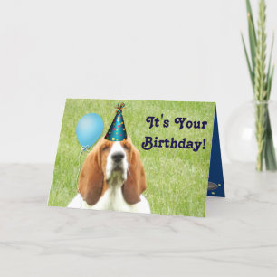 Basset Hound avec carte d'anniversaire du casquett