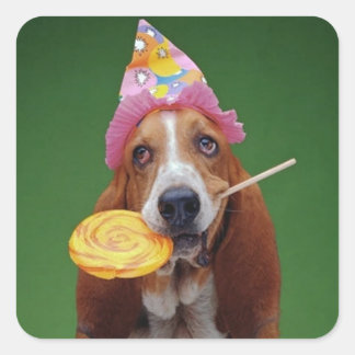 Basset Hound Birthday Lollipop Quadratischer Aufkleber