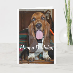 Basset hound Bonne carte d'anniversaire